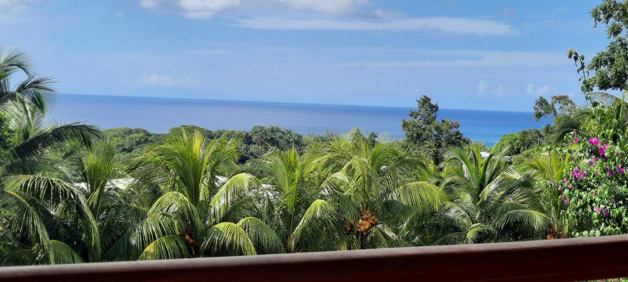 Вилла Oasis De Grande Anse Деше Экстерьер фото